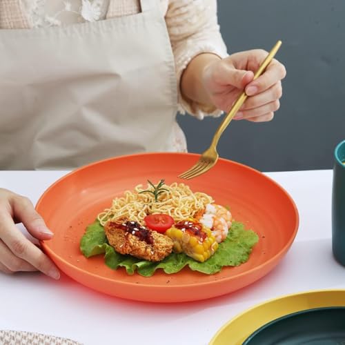 Image of Wheat Straw Dinner Plate Set, Eco-Friendly Dinner Set Round Serving Plate, Dishwasher & Microwave Safe - Perfect for Dinner Dishes Deep Plates Easy to Clean (ORANGE-4PCS, 23 CM)