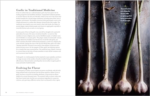 Image of The Garlic Companion: Recipes, Crafts, Preservation Techniques, and Simple Ways to Grow Your Own