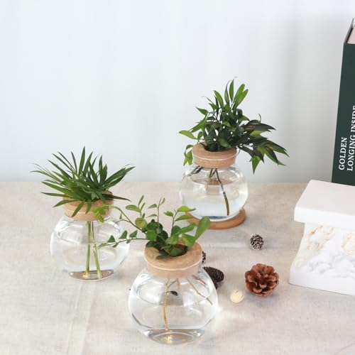 Aurfedes A-1044 Tabletop Plant Propagation Station,Aquatic Plant Culture Glass Mini Vase,With Wooden Dish,Gifts thumb #5