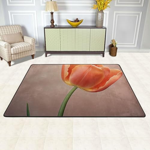 Paillasson antidérapant attrape saleté et tapis lavable en machine pour terrasse