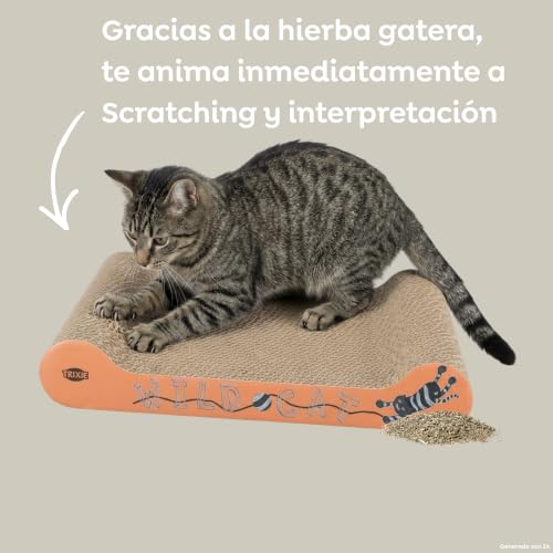 Miniatura 6 de Trixie Wild Cat Arañazos Cartón, Para Gato, 41 X 24 X 7 Cm, Colores Surtidos