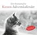 Der literarische Katzen-Adventskalender: Zweifarbiger Tischkalender zum Aufstellen. Mit 24 perforierten Postkarten zum Heraustrennen: Zweifarbiger ... Postkarten zum Heraustrennen - Spiralbindung - Bachstein, Julia
