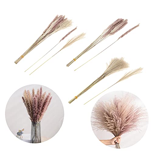 NC Conjunto de 70 Rustic Farm Dried Pampas Grass Bunch para Festa No Jardim Doméstico