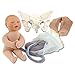 Flexible Pelvis Childbirth Model Set Beige