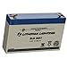 Lithonia Lighting ELB 0607 Rechargeable Emergency Replacement Battery, 250 watts, 6 Volts, 7 Amp, White