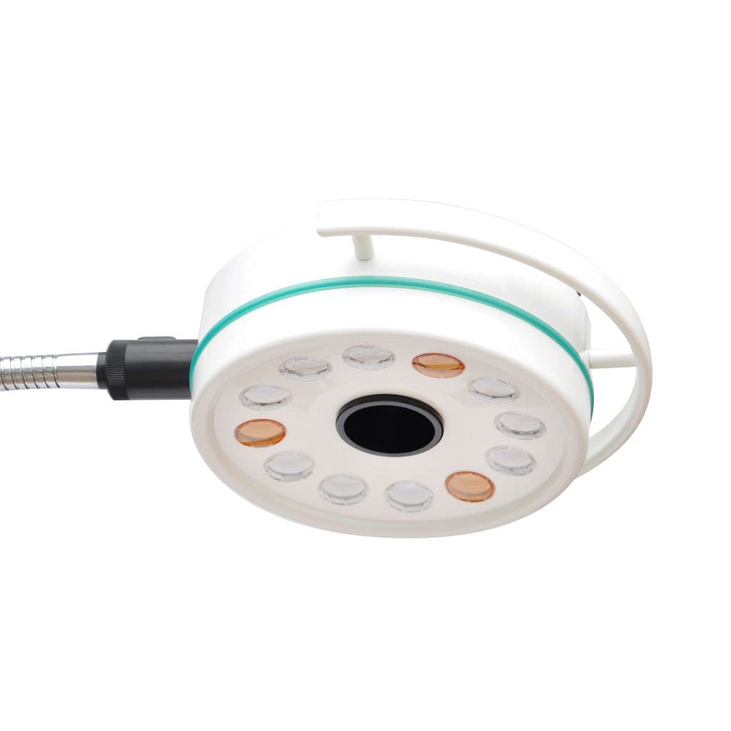 GOOSENECK Portable Mobile Led Exam Light Shadowless Lamp Illumination 40000Lx Ac90-240V 110V Available Ce Technical Documentation for Lab Industrial Jewelry Appraisal Product Testing Tattoo Work,etc.