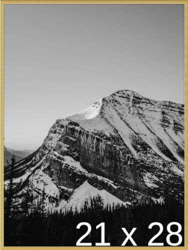 Frame It Easy 21 x 28 Gloss Gold Metal Frame (Ashford)