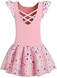 Ballet Leotards for Girls Dance Skirted Leotard Kids Ballet Tutu Dress Toddler Shiny Ruffle Sleeve...