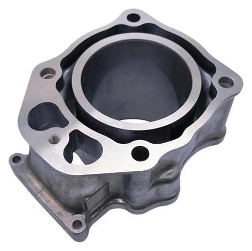 Joints segments piston cylindre TRX420 12100HP7A00 Rancher - 4