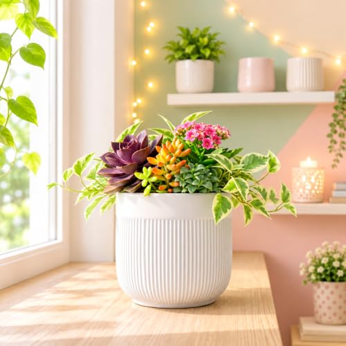 Image of Xtore Refined Ceramic Ribbed Planter with Base | Medium Round Plant Pot for Desk, Shelf & Corner Decor - (White, 1 Piece, Planter ONLY)