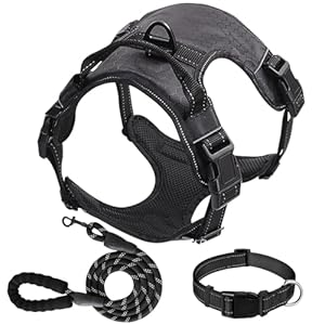 Dog Harness Set, No Pull Dog Vest Harness and 5ft Leash & Collar for Small Medium Sized Large Dog Cat,Adjustable Soft Nylon Padded Dog Vest Reflective Front Clip Vest with Easy Handle -Black L