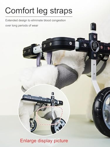 Fauteuil roulant pour chiens de moyenne taille idéal pour la promenade