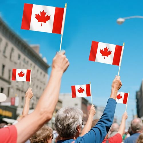 50 Pack Canada Handheld Flags, 5×8 Inch / 13×20 cm Small Canadian Flags on Wooden Sticks with Gold Spear Tops, Mini Flags for Canada Day Parades & Patriotic Events by Geodurn - Image 5