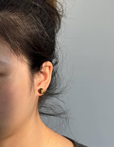 Tiger Eye Earrings, Stainless Steel Brown Earrings for Women and Men4