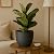 Giraffe Creation Plant Pots 12/10/9 inch Set of 3, Flower Pots Outdoor Indoor, Planters with Drainage Hole, Speckled Black