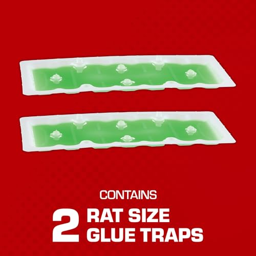 Rat-Sized Super Hold Glue Traps