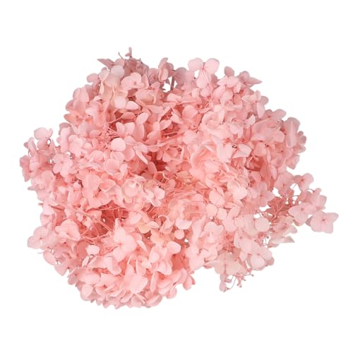Hojas de Hortensia Secas Rosadas Naturales para Decoración miniatura 1