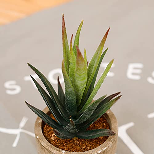 Academyus Fake Succulent Bonsai Nice-Looking Ornamental Realistic Mini Artificial Succulent Plant Fake Flower Bonsai For Living Room #TOP7