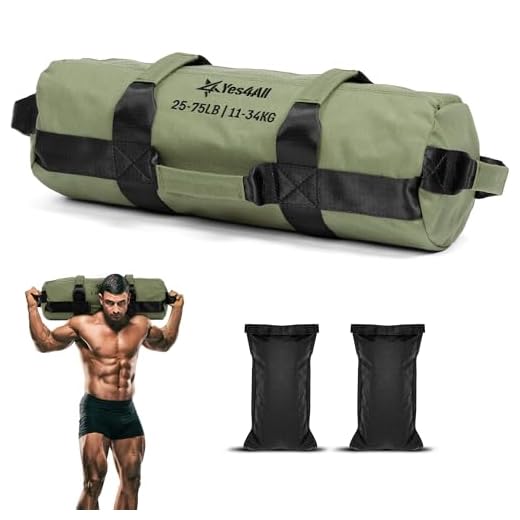 418LT6cZH3L._SS520_ Best sandbags for training