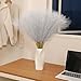 Wertuirk Faux Silver Pampas Grass - 60pcs 24 Inch Short Artificial Pampas Grass Decor, Fake Pompas Floral for Vase Filler, Wedding Flower Arrangement, Party and Home Decor (Silver, 60 Pieces)