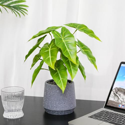 LUWENER Fake Plants Green in Grey Stone Pot,13" tall Faux Potted Plants for Home Office Indoor Artificial Potted Plant for Shelf Table Bathroom Bedroom Decoration (Sea taro leaves) - Cosy Home Interiors LUWENER Fake Plants Green in Grey Stone Pot,13" tall Faux Potted Plants for Home Office Indoor Artificial Potted Plant for Shelf Table Bathroom Bedroom Decoration (Sea taro leaves) - Image 5