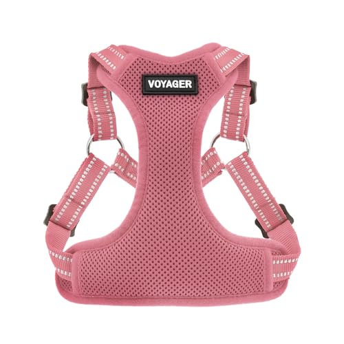 Voyager by Best Pet Supplies - Fully Adjustable Step-in Mesh Harness with Reflective 3M Piping, (Turquoise, Medium) by Best Pet Supplies - Used condition - CA$14.15