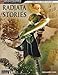 Radiata Stories(tm) (Bradygames Official Strategy Guide)