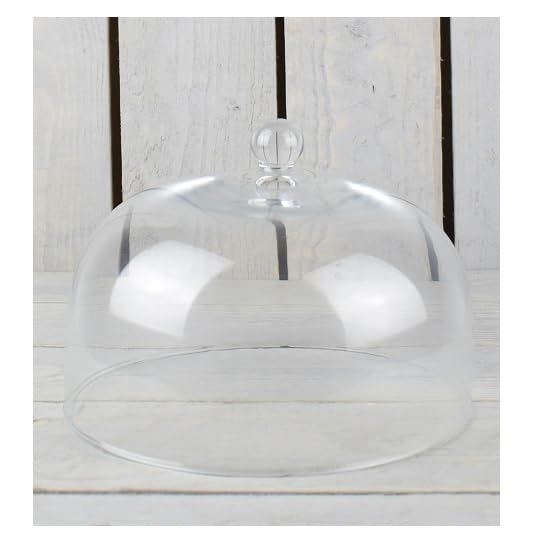 EMH Expositor de cristal para tartas y magdalenas con cúpula protectora H:15 cm x 20 cm