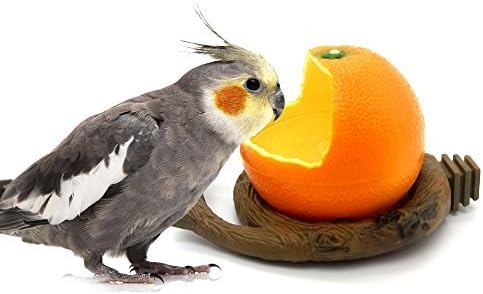 Birds Feeder Bowl,Bird Food Feeding Bowl Feed Cup for Small Parrots Cockatiels Conure Hamster Small Animal Drinking Water Container for…