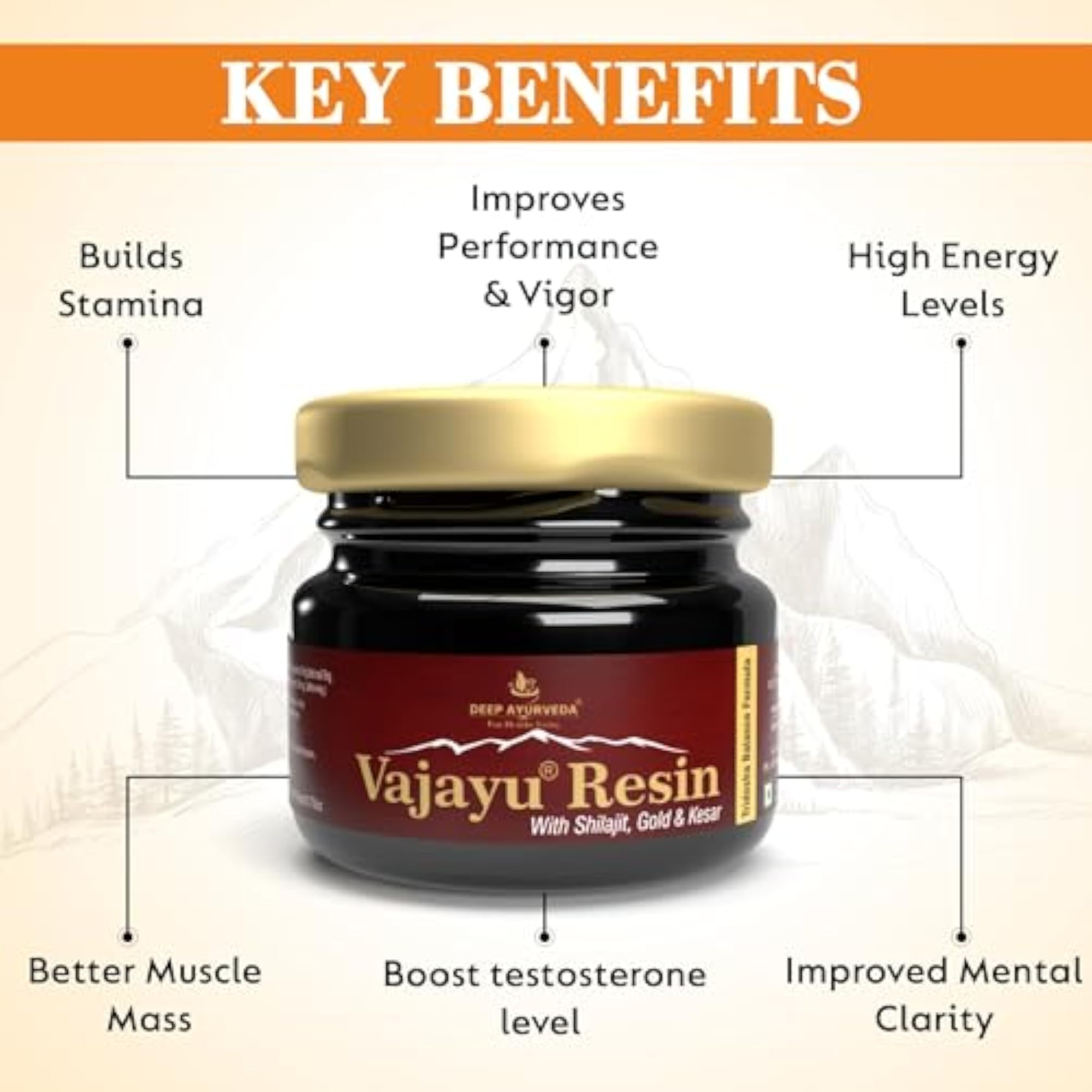 Deep Ayurveda Vajayu Shilajit Resin, 20g