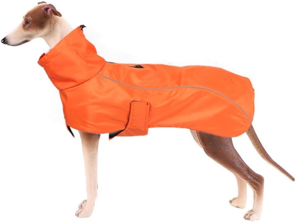 Impermeable para perros reflectante para solucionar paseos con lluvia y viento