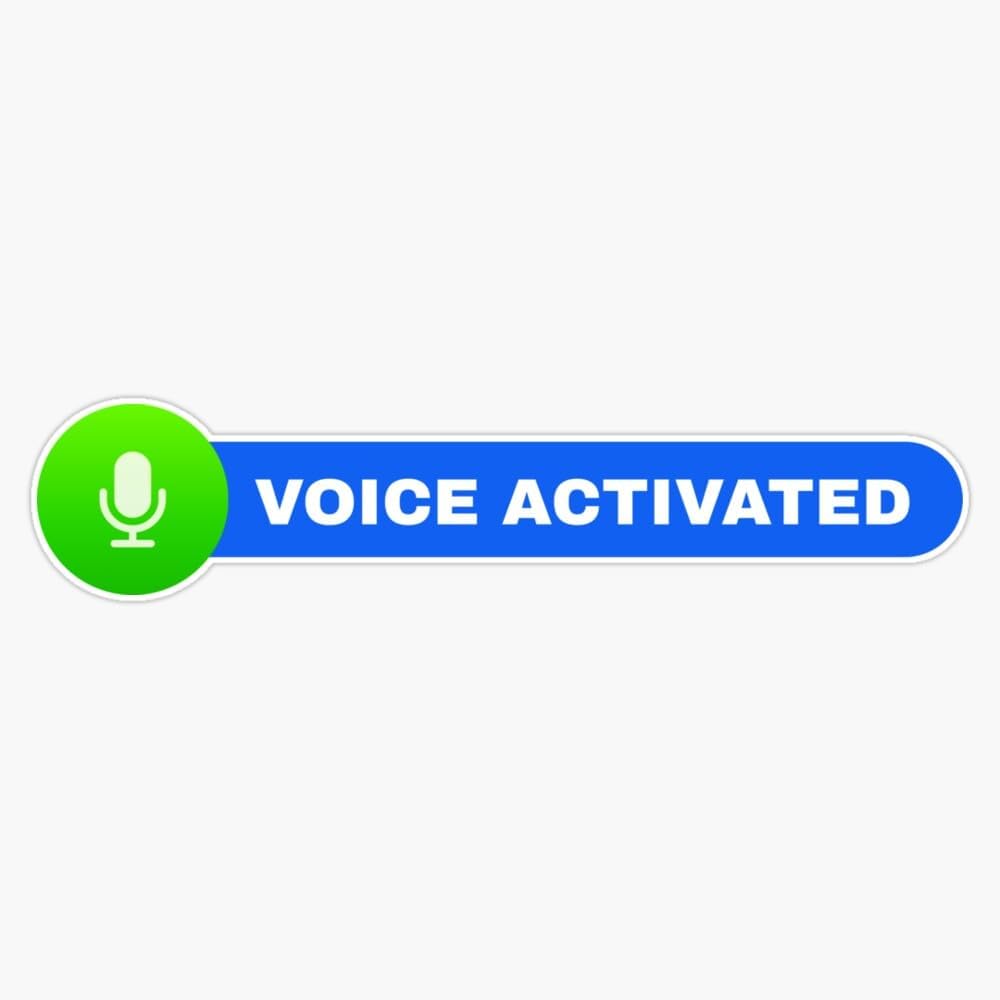 Amazon.com - Realistic Voice Activated Bumper Sticker Vinyl Decal 5