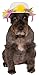 Kentucky Derby/Easter Bonnet Pet Hat, Small/Medium