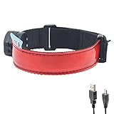 LED Armband - USB Rechargeable -Glovion LED Running Armband Light- High Visibility Safety Gear for Night Running, Jogging & Cycling - Red