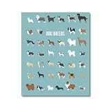 Affiche Murale Éducative Sur Toile De Races De Chiens, Peinture Sur Toile, Collection De Chiens De Compagnie Mignons, Affiches Et Imprimés Nordiques, Décor De Chambre À Coucher 30X40Cm Sans Cadre