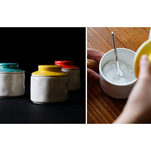 Pot assaisonnement céramique maison créative pour stopper l'humidité du sel