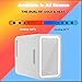 Memorex MX-FR690 6.5L Mini Beauty Lighted Mirror Fridge | Portable Cooler & Warmer for Drinks, Cosmetics, Medication, AC & Vehicle Adaptors | Eco-Friendly | LED Mirror for Makeup & Skincare