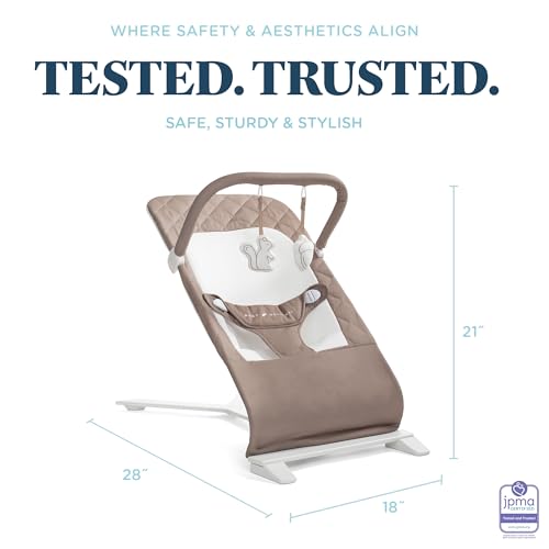 image for Baby Delight Alpine Deluxe Portable Baby Bouncer | Infant | 0-6 Months