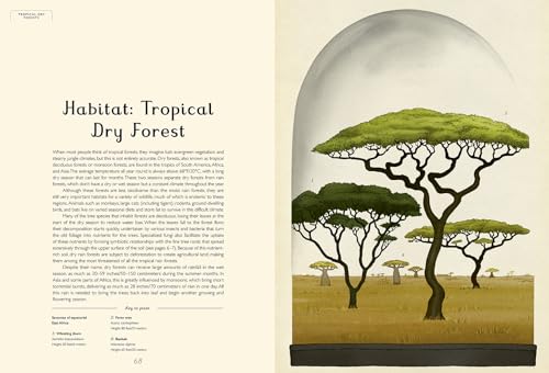 Arboretum: Welcome to the Museum - Image 4