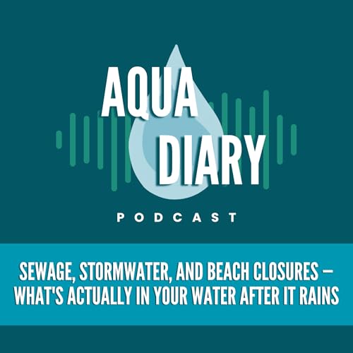 Sewage, Stormwater, and Beach Closures &mdash; What's Actually In Your Water After It Rains?