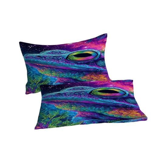 Housse de couette grenouille 220x240 en microfibre douce et anti-plis