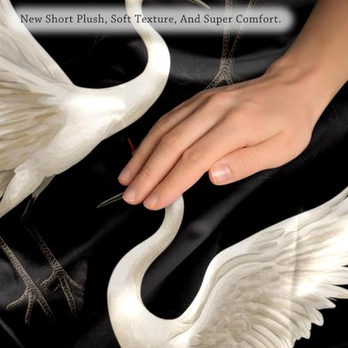 Housses de coussin velours double face Cranes de qualité premium