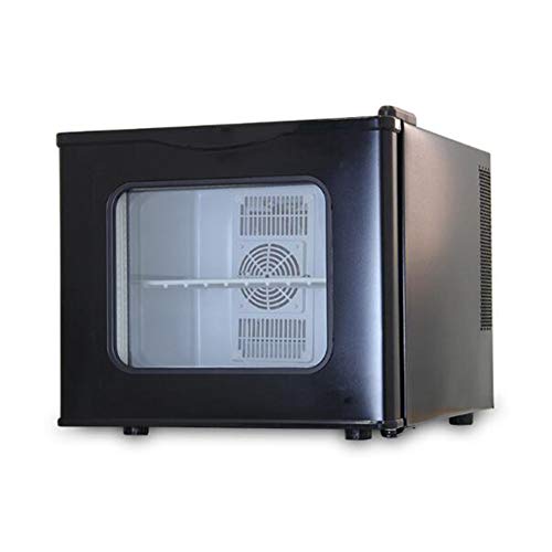 Mini-Kühlschrank Elektrische Kühler- Und Wärmeres AC/DC-Tragbares Thermoelektrisches System Mit Exklusiv Bei Der Go-USB-Power-Bank,Schwarz