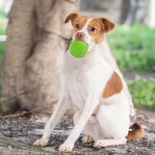 Image of Best Pet Supplies Squeaky Dog Toys with Soft Durable Fabric for Small, Medium and Large Pets Interactive Toy for Indoor Play, Supports Active Biting and Play - Green (L:3.5 inch)