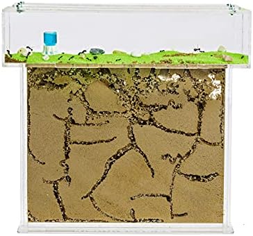 Ameisenfarm Acryl Set Natursand