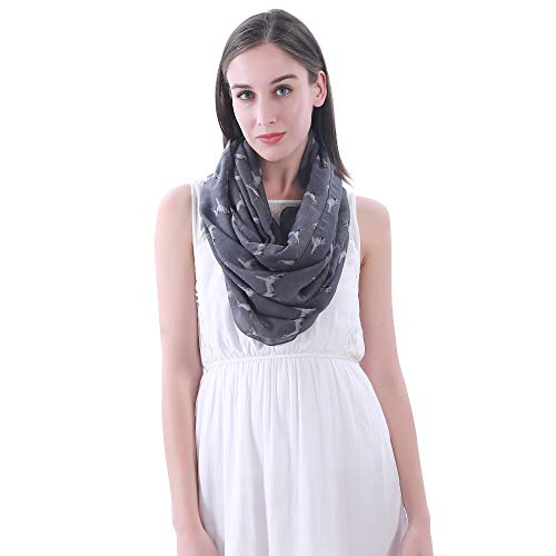 Border Terrier Dog Print Women's Infinity Scarf Lightweight2