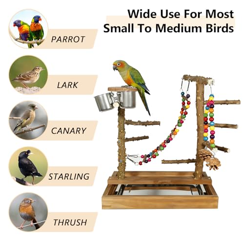 Image of Wooden Bird Play Stand Parrots Playground Perch Stand with Bird Ladder Chewing Toys and 2 Stainless Steel Cups (Brown)