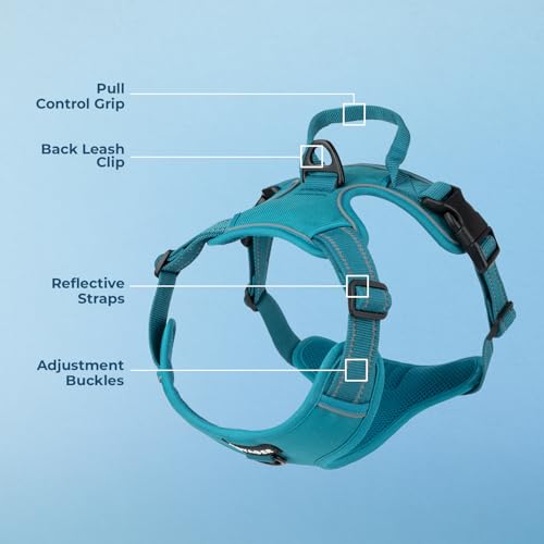 Image of Voyager Dual Attachment No Pull Harness - Turquoise, Large | 25-30 inch in Chest, No Pull Dog Harness, Fully Adjustable, 3M Reflective Technology, Front & Back D-Rings, Walking & Training