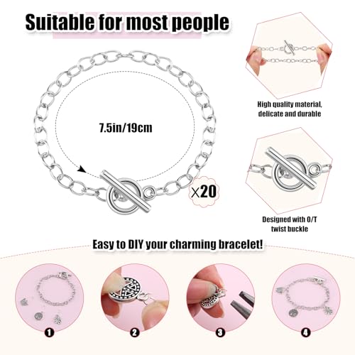 Riceshoot 321 Pcs Charm Bracelet Making Kit Bracelet Chains with OT Toggle Clasp Gold Enamel Pendants Mixed Tibetan Silver Plastic Storage Box and Open Jump Rings for Women DIY Jewelry Making