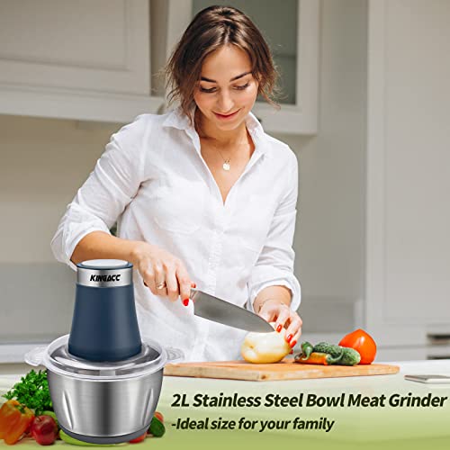 Electric Food Processor & Vegetable Chopper, 8-Cup Blender Grinder For Meat, Vegetables, Onion, Garlic, With 2L Stainless Steel Bowl And 4 Sharp Blades For Slicing, Shredding, Mincing, And Puree, 300W #TOP7